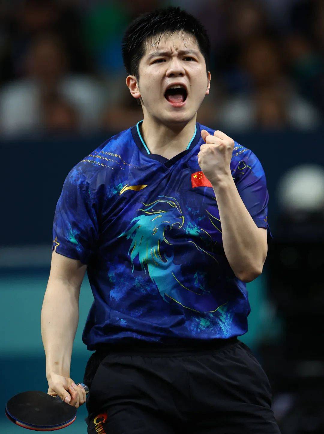 包含比利时乒乓球队完胜波兰乒乓球队，樊振东高光表现的词条