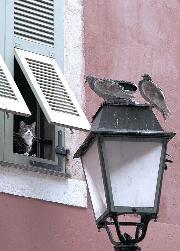 跨越八千英里的篮球盛宴，当掘金遇见山西，莫兰特上演降维打击