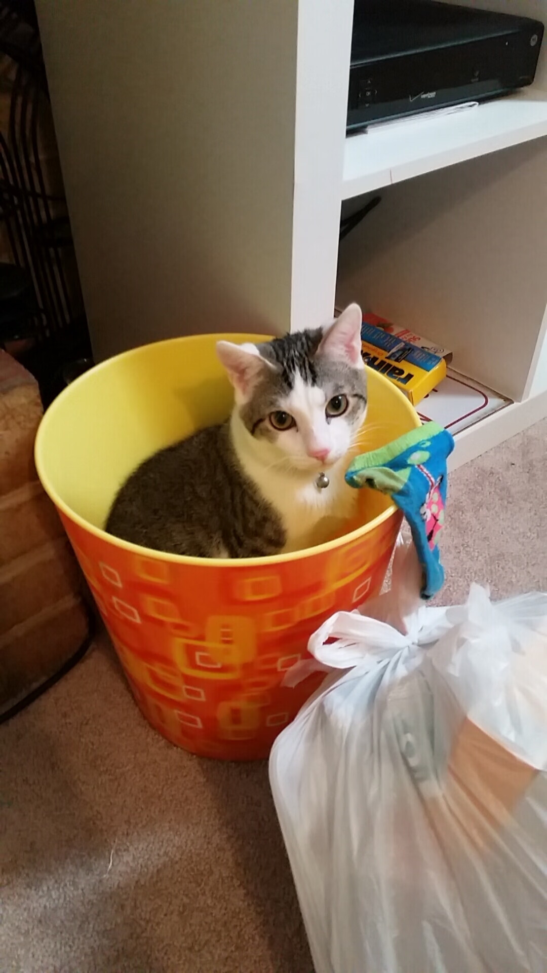 开云下载-铁蹄踏碎鹈鹕双翼，公牛天罗地网下的排名焦点战